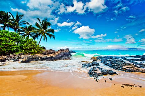 Maui Hawaii The Favorite Island For Hollywood Celebrities