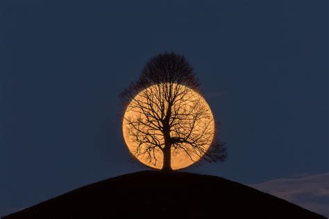Photographer Of The Viral Photo Of A Full Moon Behind A Tree Shares The Story Of It Earth Wonders