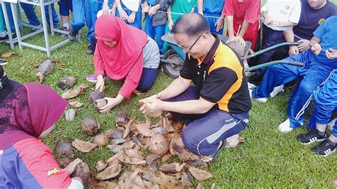 Tahun lepas lokasi sambutan hari guru diadakan di lokasi yang akan dikemaskini. SK KG. KENINGAU: Aktiviti guru pada sambutan hari guru