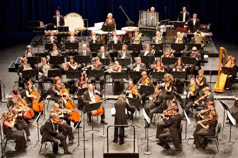 Symphony Orchestra Definition And Meaning Collins English Dictionary