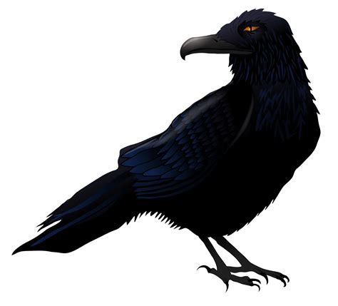 Download Raven Bird Transparent Background Hq Png Ima