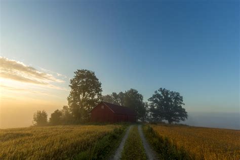Old Red Wooden Barn And Brilliant Sunrise Over A Cornfield Ii