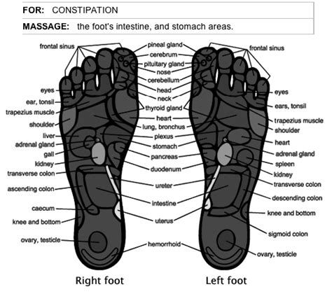 Reflexology For Constipation Relief Tips And Techniques How To Do