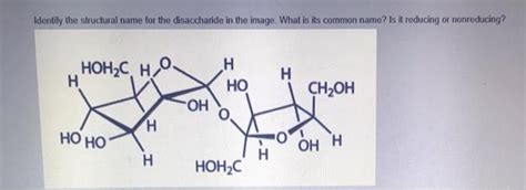 Solved Consider The Structure Of Sucrose With Labeled Carbon