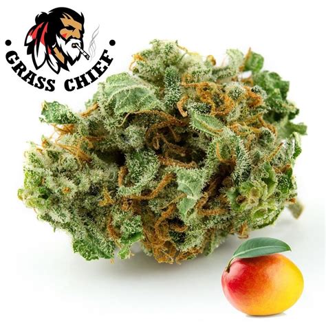 Buy Mango Kush Aaa Online In Canada At Grass Chief