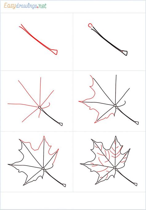 How To Draw A Fall Leaf Step By Step Fall Drawings