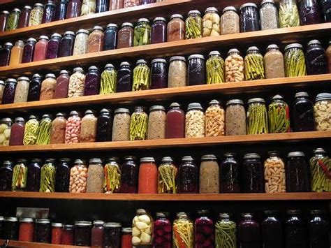Long term food storage enables us to store and enjoy foods longer for future consumption, camping, or extended vacations. My Family Survival Plan 3 Food Preservation Techniques For ...