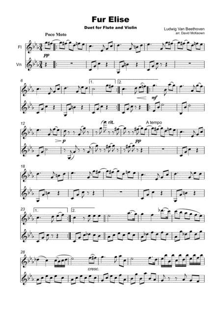 Für Elise Flute And Violin Duet By Ludwig Van Beethoven 1770 1827