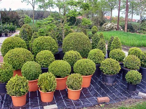 Check spelling or type a new query. Garten Koenig Angebote - Garten Design Idee Fotos