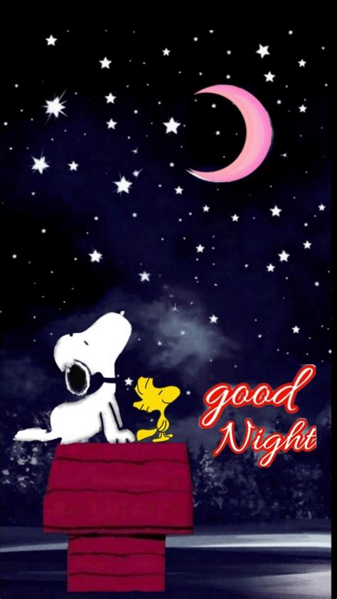 Pin Von Alessandra Auf Snoopy And Peanuts Night Gute Nacht Gute