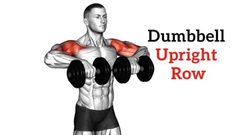 Dumbbell Upright Row How To Do And Muscles Worked