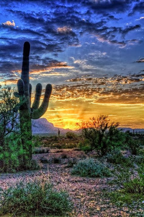 A Beautiful Sunrise Over The Sonoran Desert In Arizona Fantastic