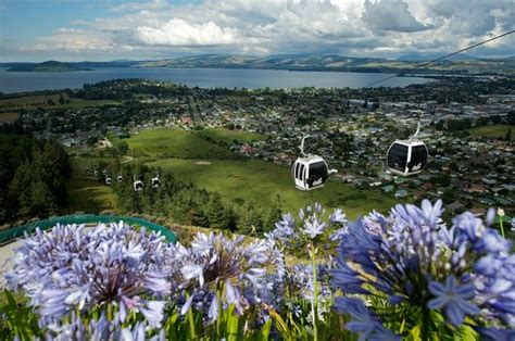 Nice Views Try The Luge Review Of Skyline Rotorua Rotorua New