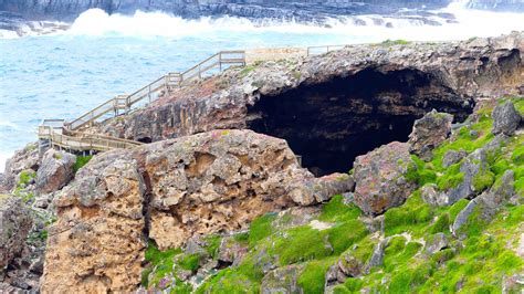 Admirals Arch Grottes Kangaroo Island South Australia Australie
