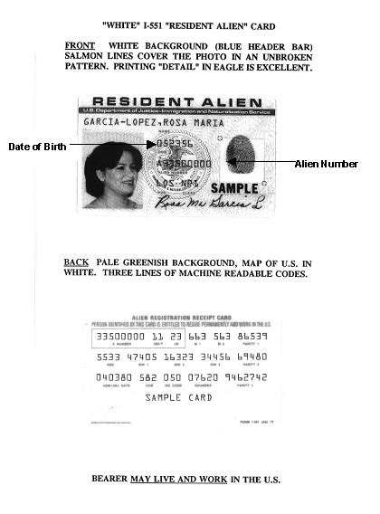 What is an alien card number? 122 Appendix C
