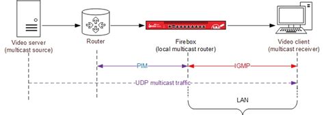 About Multicast Routing