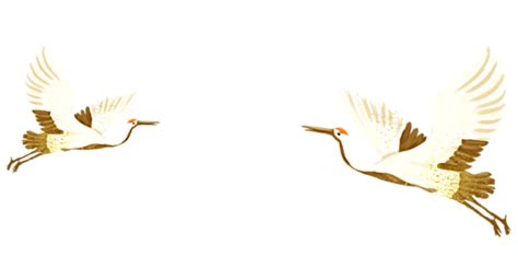 Animals Birds Cranes Birds Crane Bird Png Transparent Clipart Image