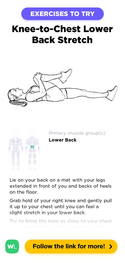 Knee To Chest Lower Back Stretch Workoutlabs Exercise Guide