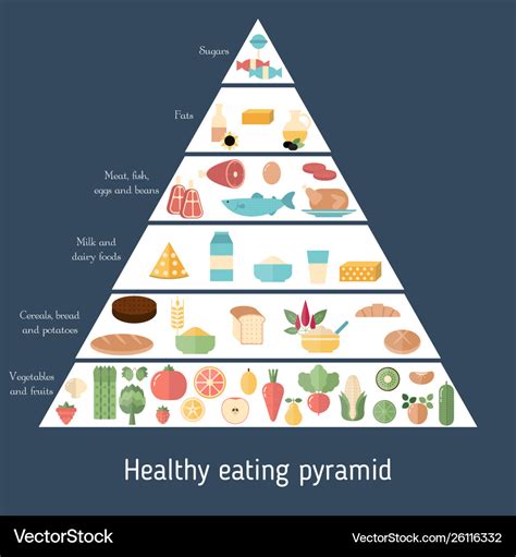 Food Pyramid Healthy Eating Infographic Food Vector Image