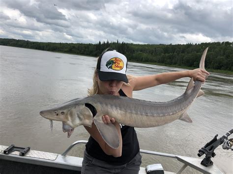 Best North Saskatchewan River Images On Pholder Fishing Edmonton And Earth Porn