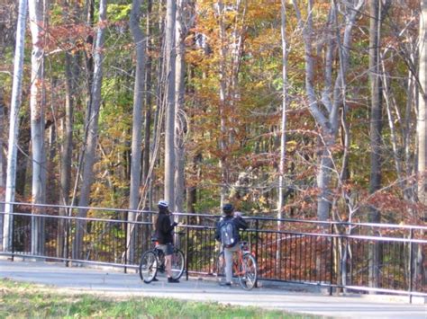 Jones Falls Trail Extension To Mount Washington Approved Baltimore