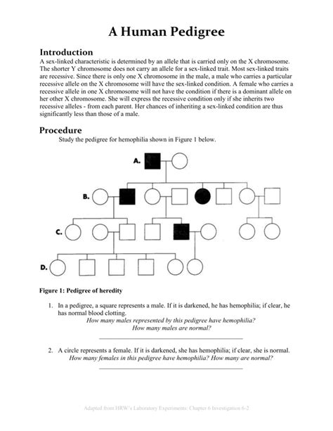 Pedigree Worksheets With Answers Printable Word Searches