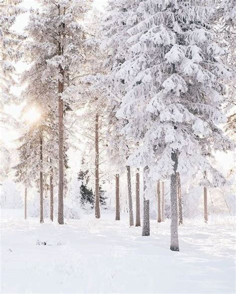 Pin By ⊱cɦɾἰʂʈɱคʂ Ꮗơŋȡɽℓคŋȡ⊰ On Snow Winter Scenery Winter