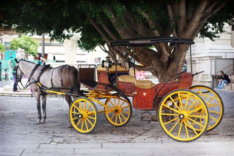 Paseo En Carruaje De Caballos En Sevilla Precios Oficiales 2023