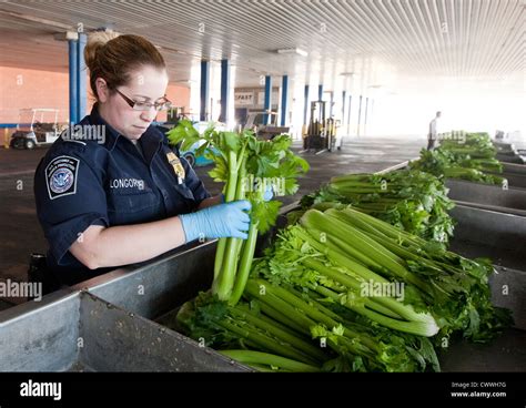 Female agriculture specialists for U.S Customs and Border Protection ...