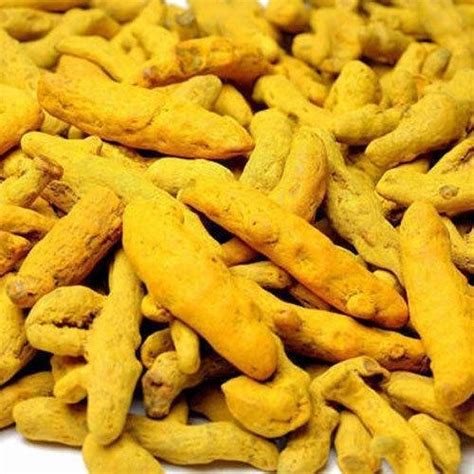 Raw Dry Turmeric Finger Color Natural At Best Price In Ajmer
