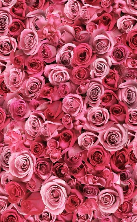 Roses ~ Wallpaperlock Screenbackground Pink Glitter Wallpaper Pink Flowers Wallpaper Pink