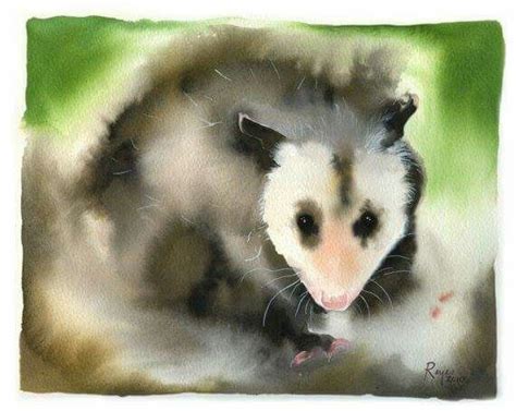 Pin By Dr Martin Mclaughlin On Awesome Possum Opossum Art Possum