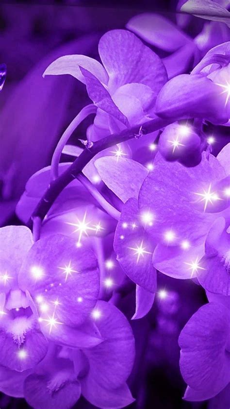 Purple Flower Wallpaper Nawpic