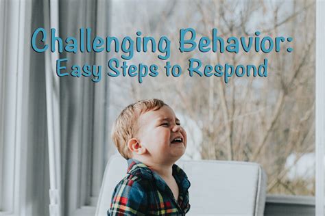 Challenging Behavior: Easy Steps to Respond | Project Play Therapy ...