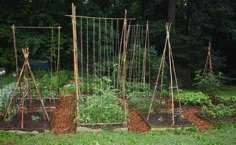 I used your idea for our gardens this year, has been working great!i made the upright stakes very tall (about 8 foot above ground) so that as the plants. Pin on Vegetable Trellis