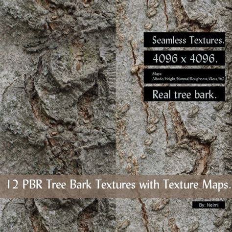 12 Pbr Tree Bark Textures With Texture Maps 3d Models For Daz Studio
