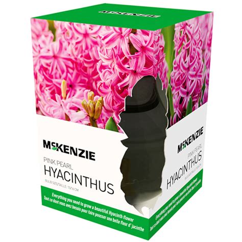 Mckenzie Kit With Vase And Hyacinthus Bulb Cm R No D P T