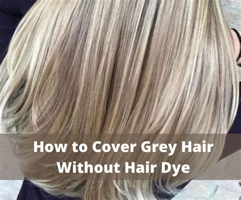 How To Cover Grey Hair Without Hair Dye Your Money Site