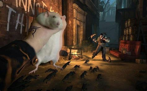Rat Spell Fat Rat Being Grabbed Know Your Meme