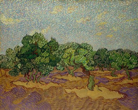 Olive Trees 1889 Painting By Vincent Van Gogh Pixels