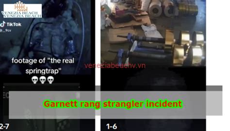 Garnett Rang Strangler Incident Venezia Beach