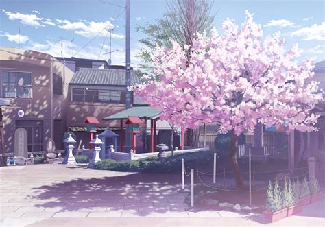 Anime Aesthetic Wallpaper Cherry Blossom Tree Canvas Canvaskle