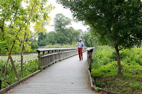 Dc Guide Kenilworth Park And Aquatic Gardens