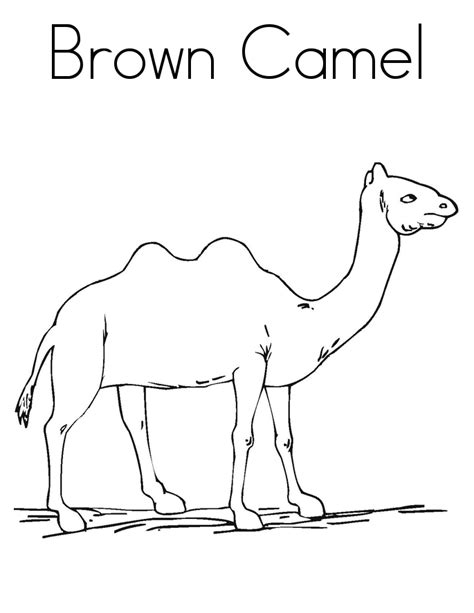 Free coloring pages to color online. Free Printable Camel Coloring Pages For Kids
