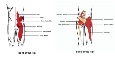 What Causes Hip Pain When Standing Up After Sitting