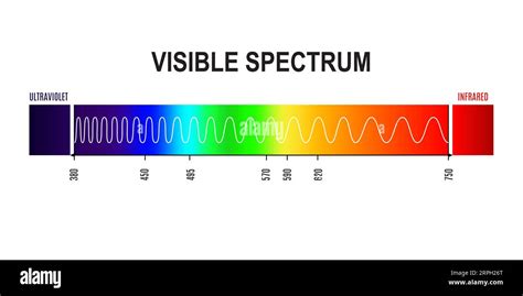 Wavelength Visible Light Spectrum Wave From Ultraviolet To Infrared Frequency Physics And