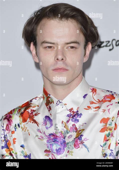 Charlie Heaton Arrives At The Velvet Buzzsaw Los Angeles Premiere Held At The Egyptian Theatre