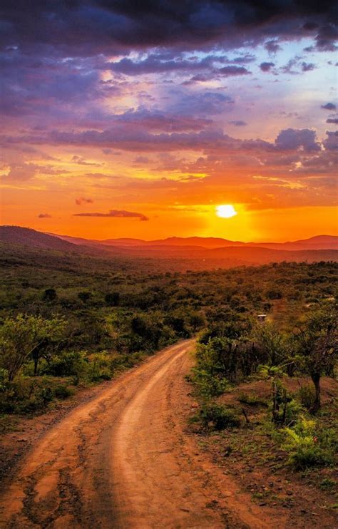 What To Pack For An African Safari South Africa Travel Africa
