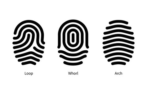 Loop Fingerprints