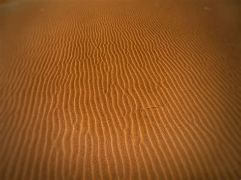 Free Images Wood Sun Sunlight Desert Dune Dry Ceiling Line